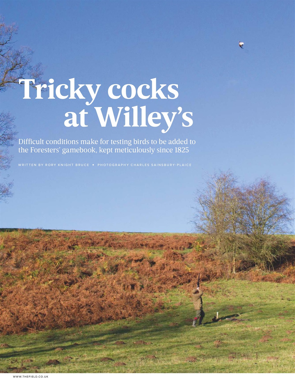 The Field Preview Pages