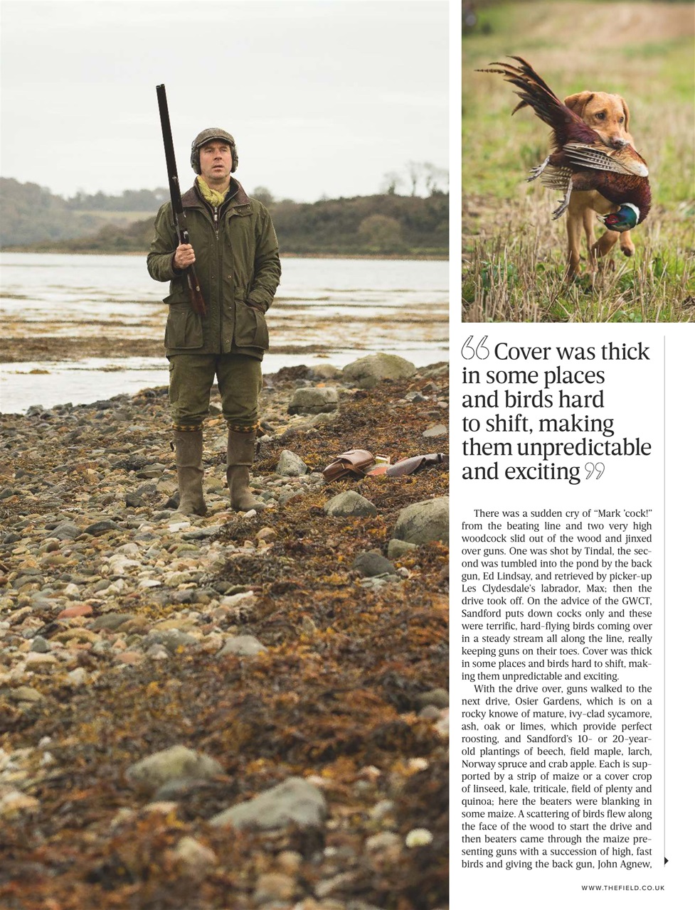 The Field Preview Pages