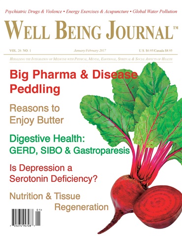 Well Being Journal issue January/February 2017