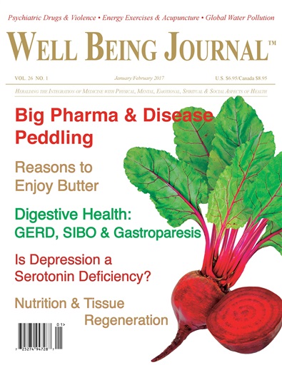Well Being Journal issue 