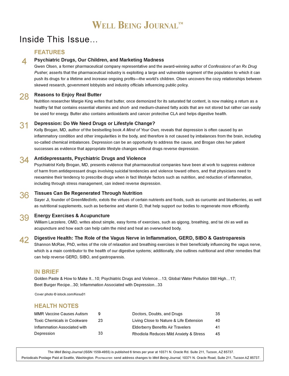 Well Being Journal Preview Pages