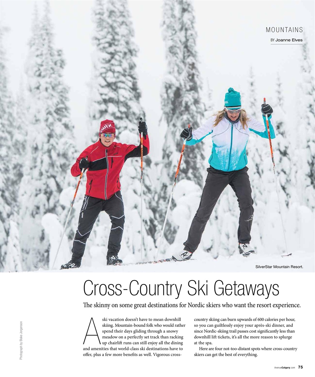 Avenue Calgary Preview Pages