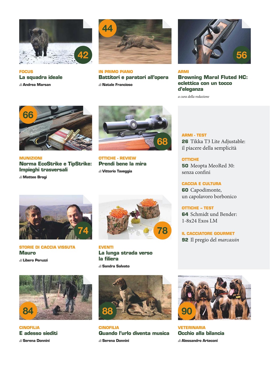 IL CINGHIALE CHE PASSIONE Preview Pages