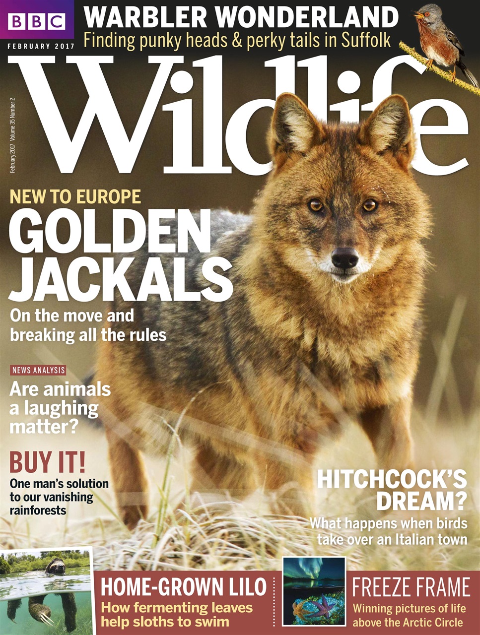 BBC Wildlife Magazine Preview Pages