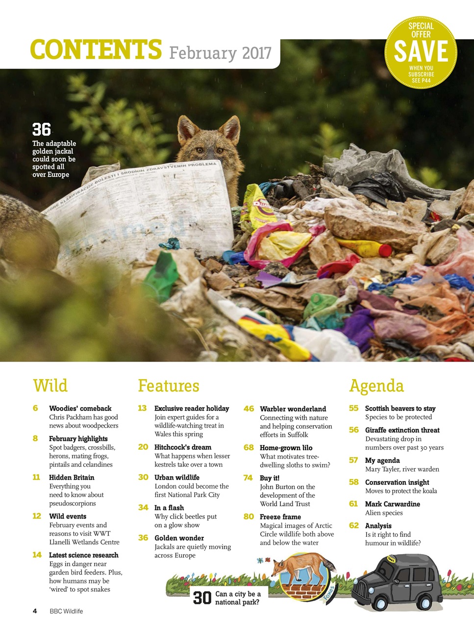 BBC Wildlife Magazine Preview Pages
