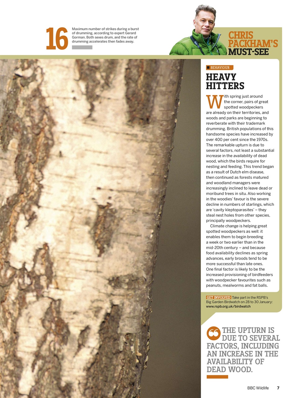 BBC Wildlife Magazine Preview Pages