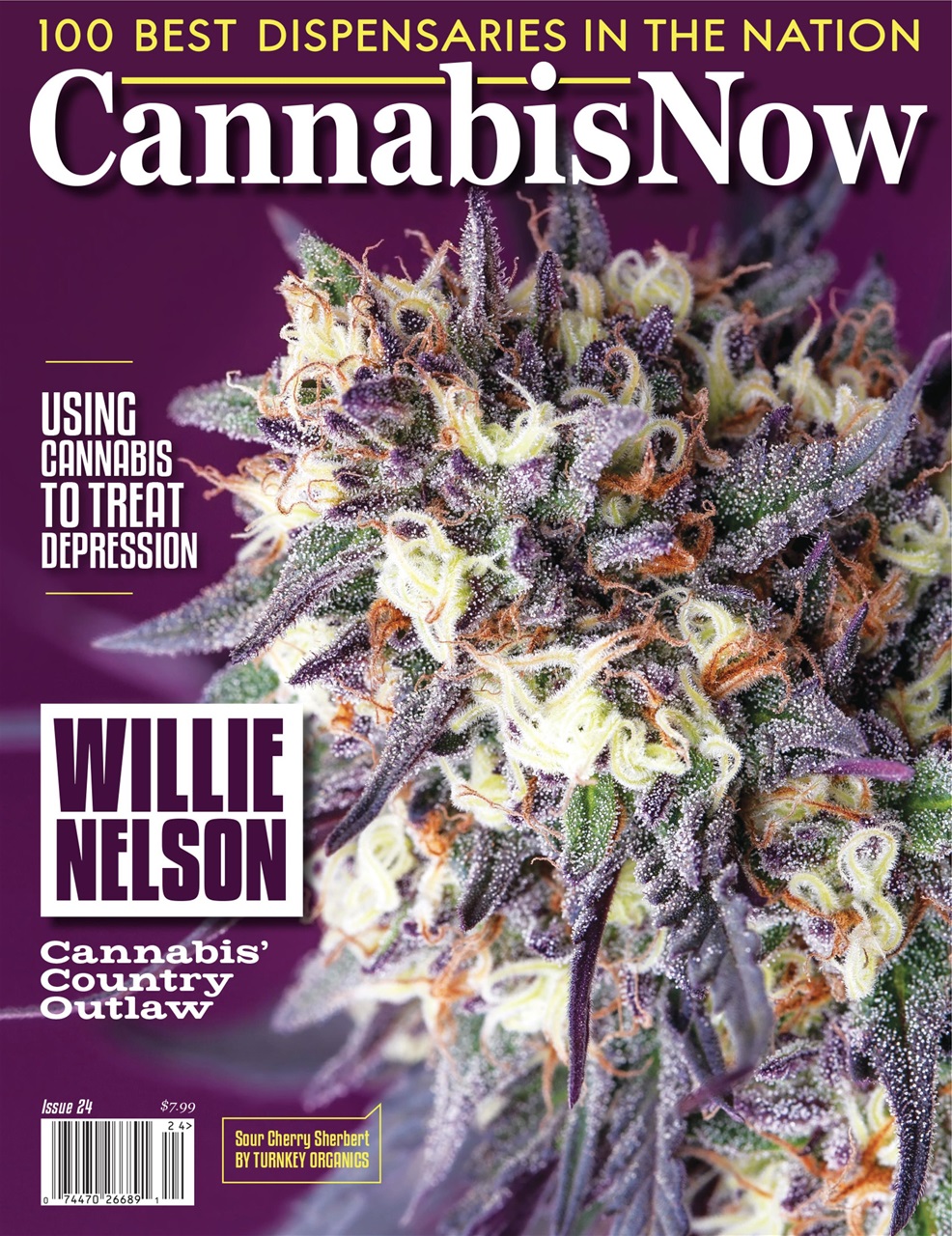 Cannabis Now Preview Pages