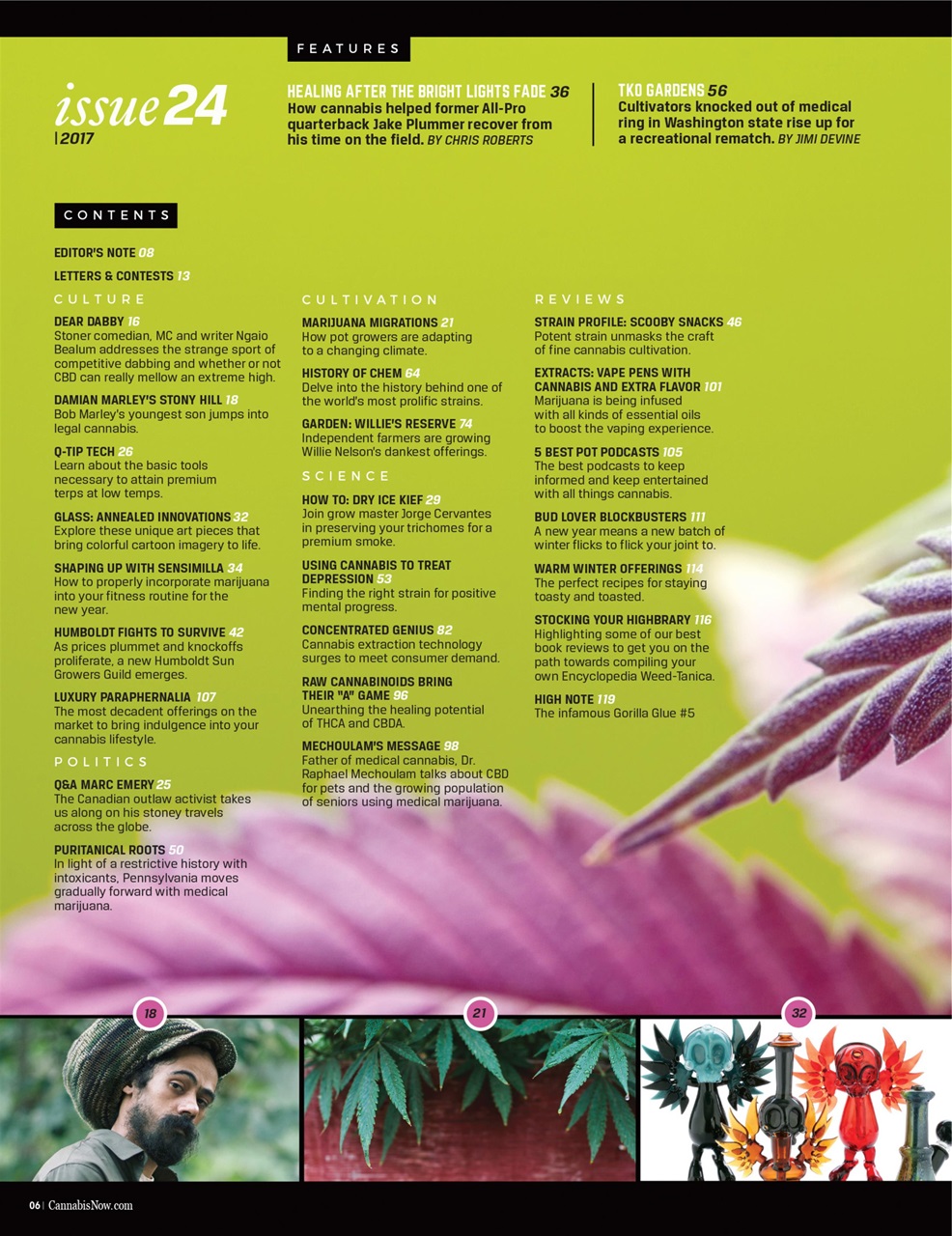 Cannabis Now Preview Pages