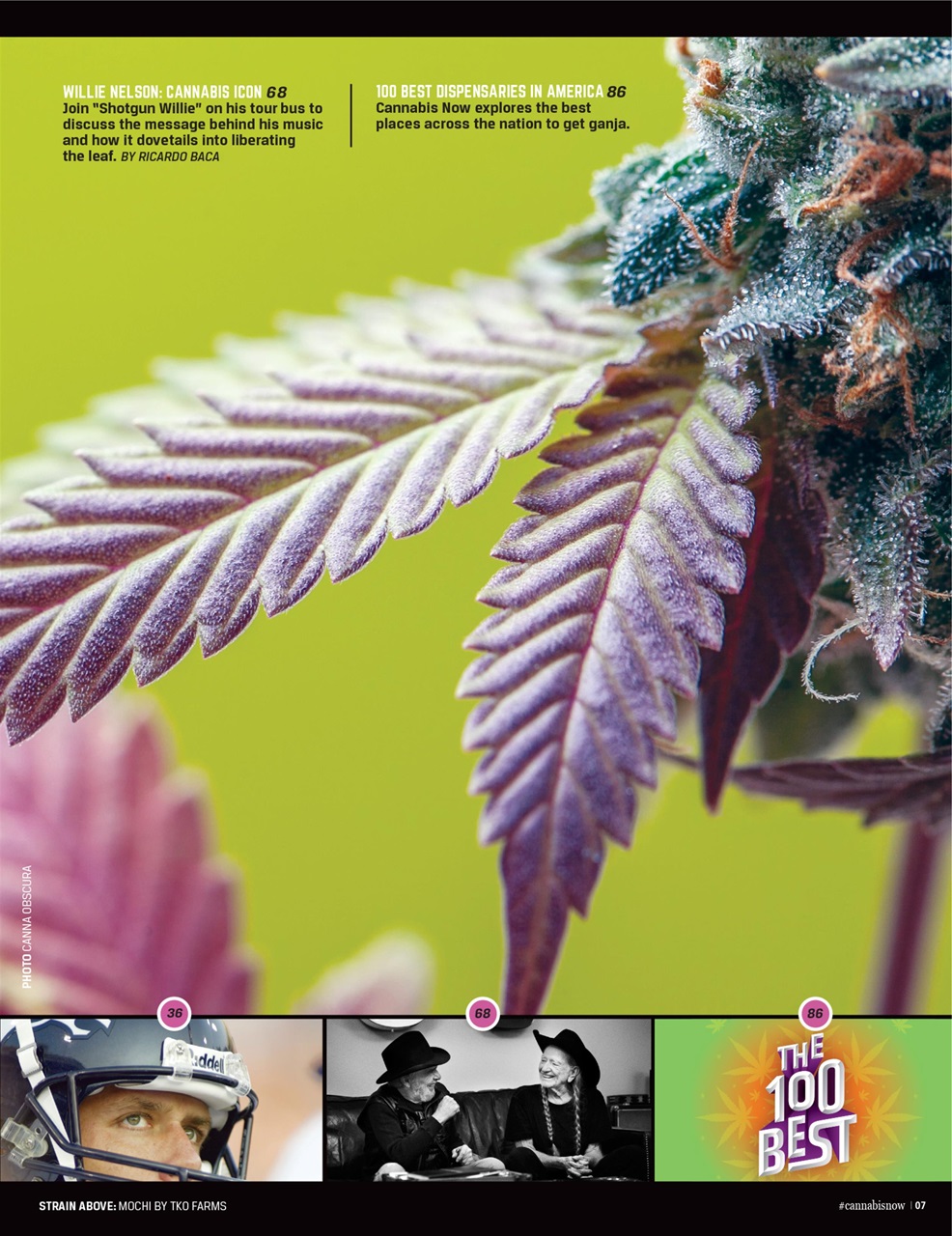 Cannabis Now Preview Pages