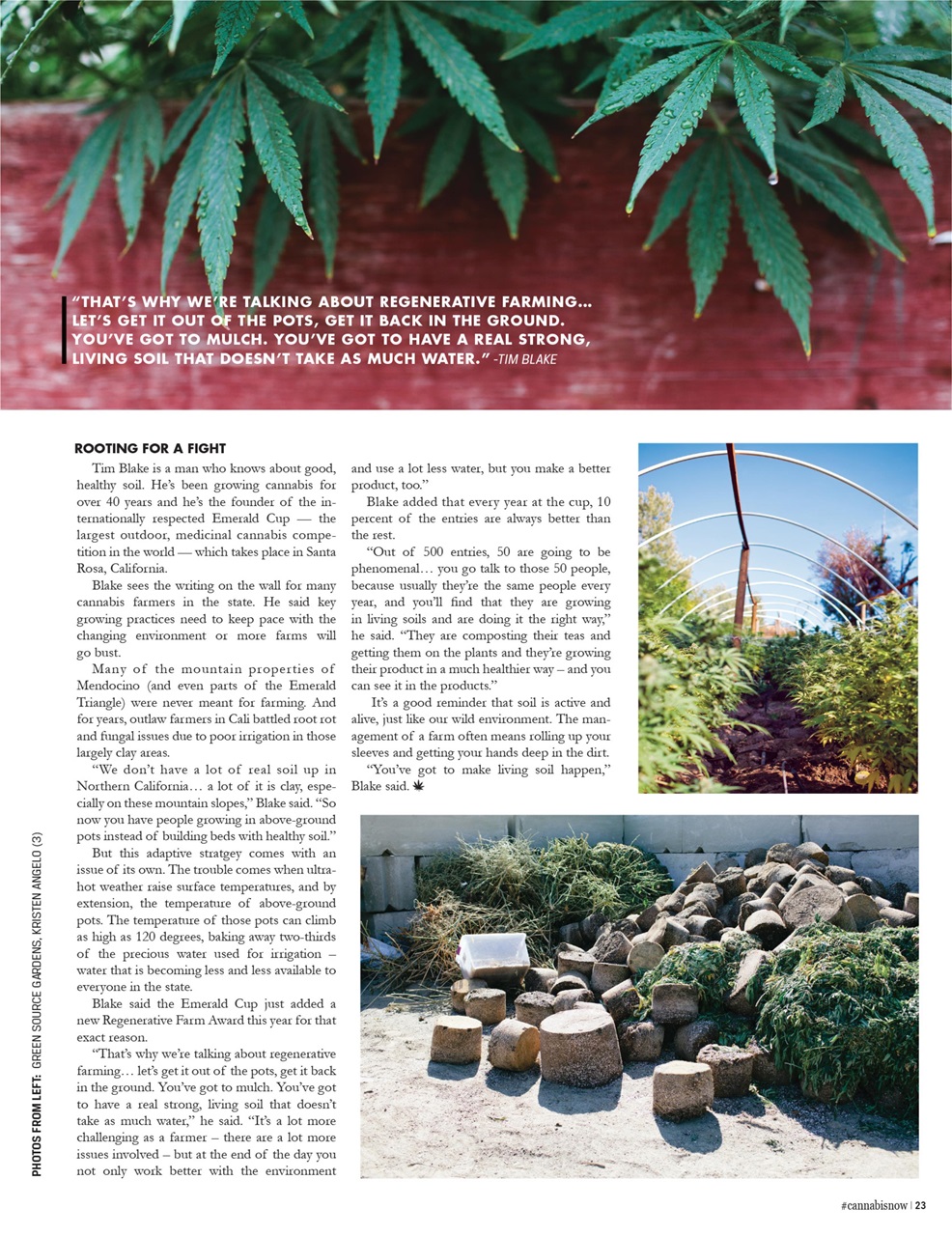 Cannabis Now Preview Pages