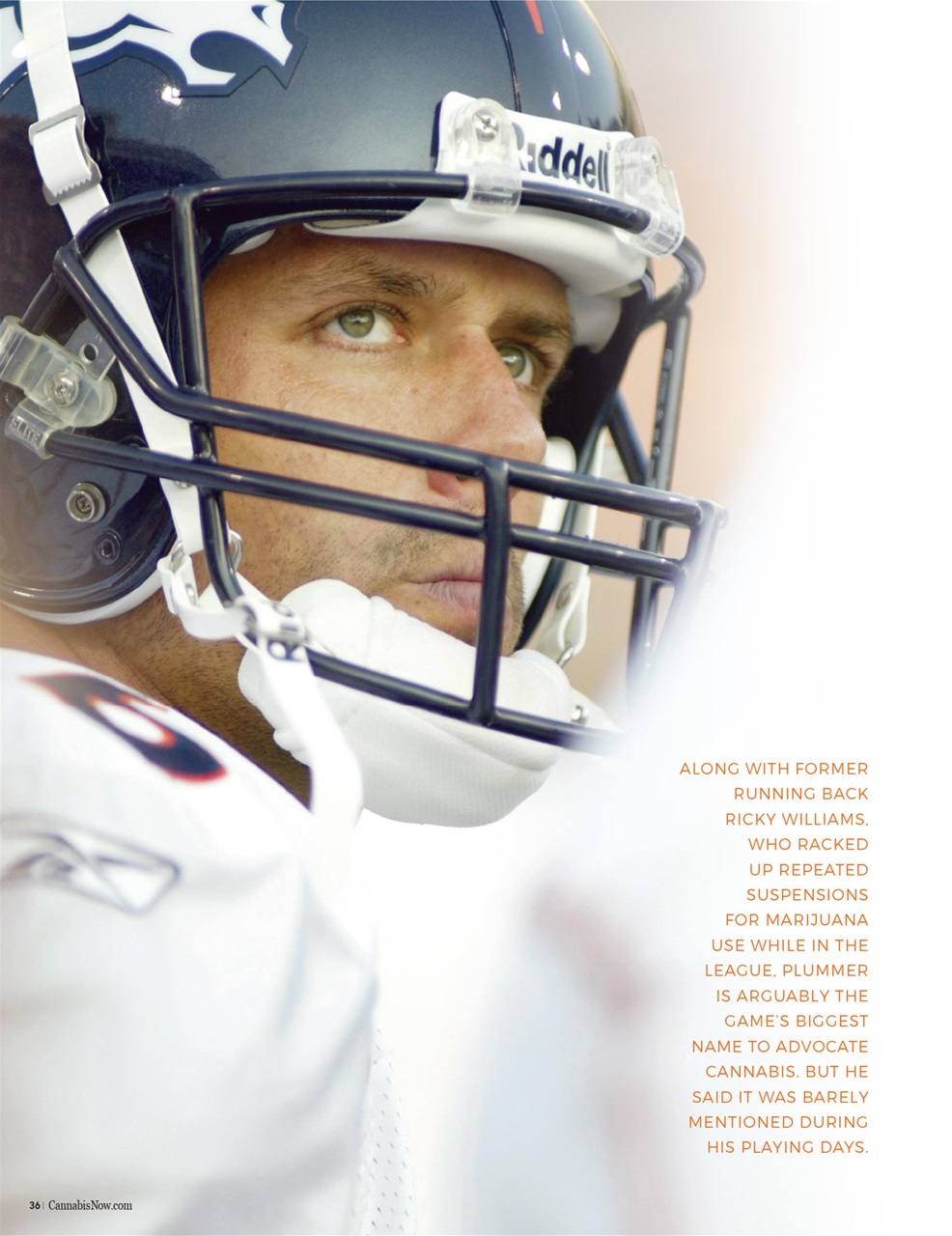 Cannabis Now Preview Pages