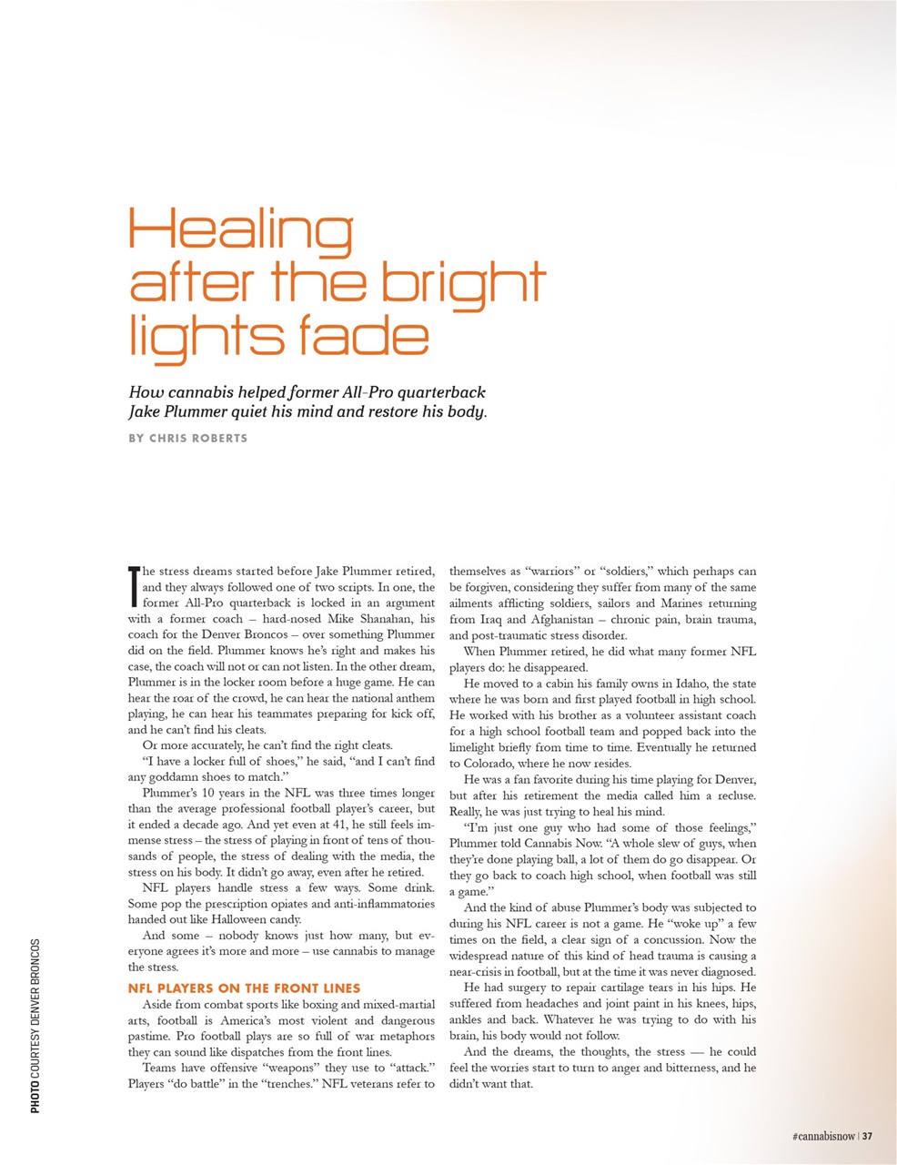 Cannabis Now Preview Pages