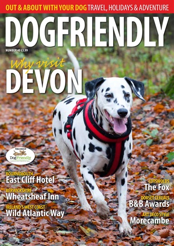 Dog Friendly issue Jan-Feb 17