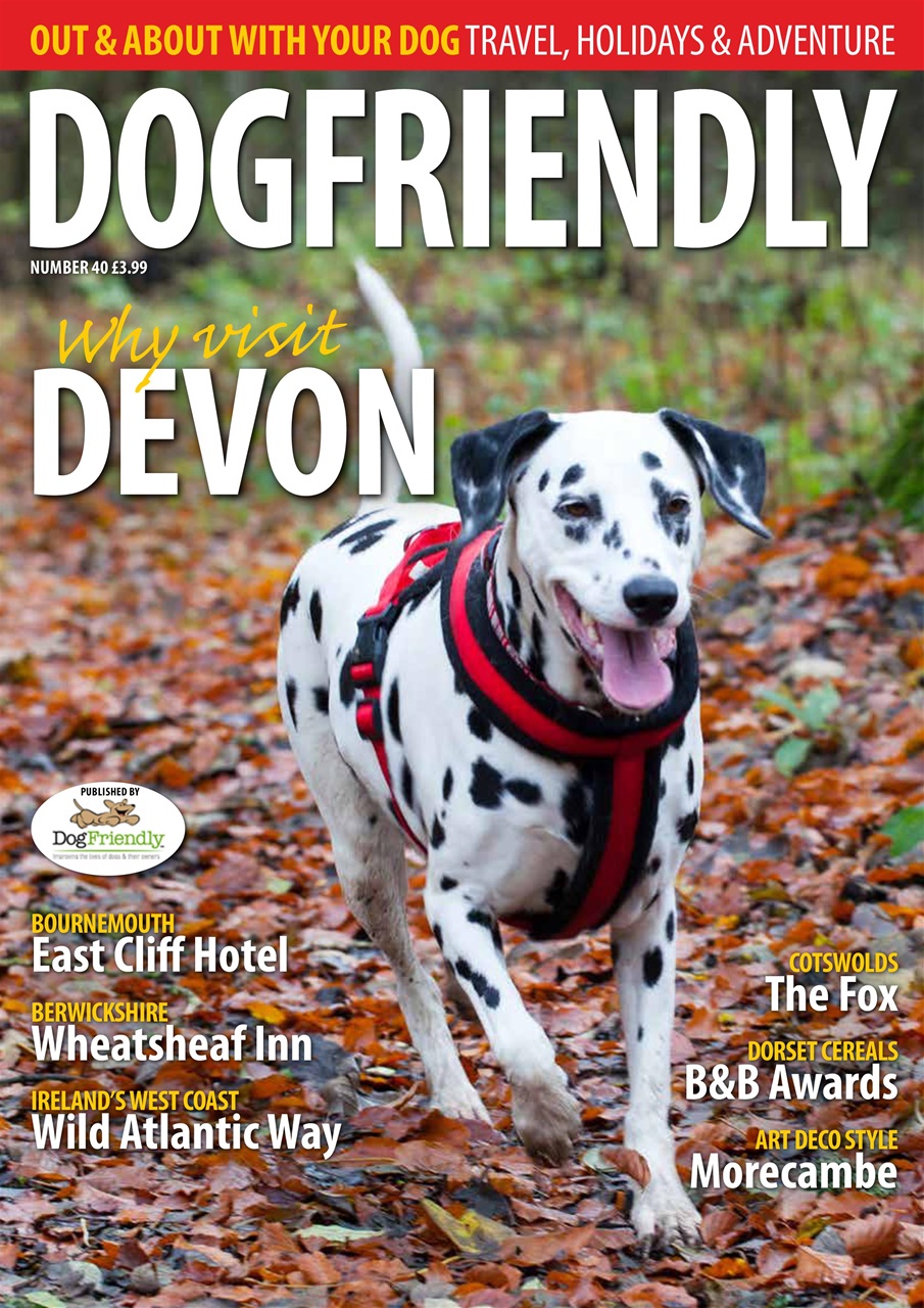 Dog Friendly Preview Pages