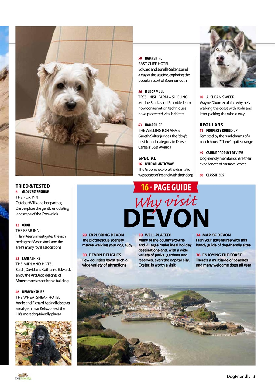 Dog Friendly Preview Pages