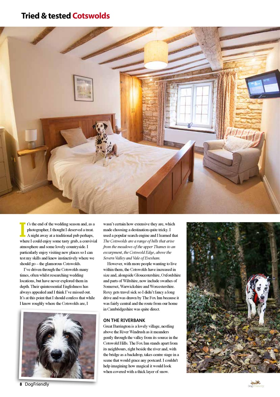 Dog Friendly Preview Pages