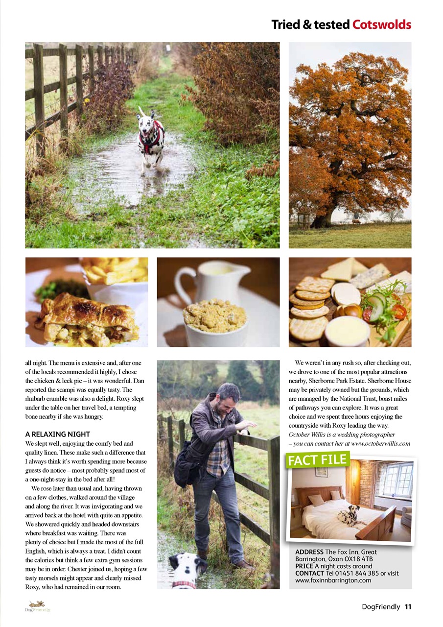 Dog Friendly Preview Pages