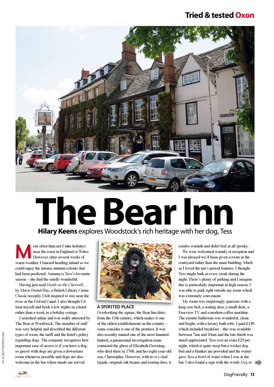 Dog Friendly Preview Pages