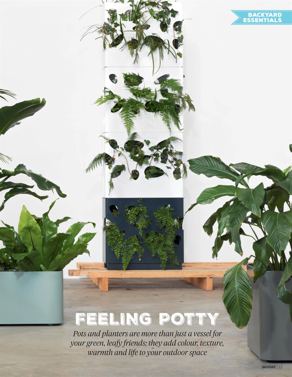 Backyard & Outdoor Living Preview Pages