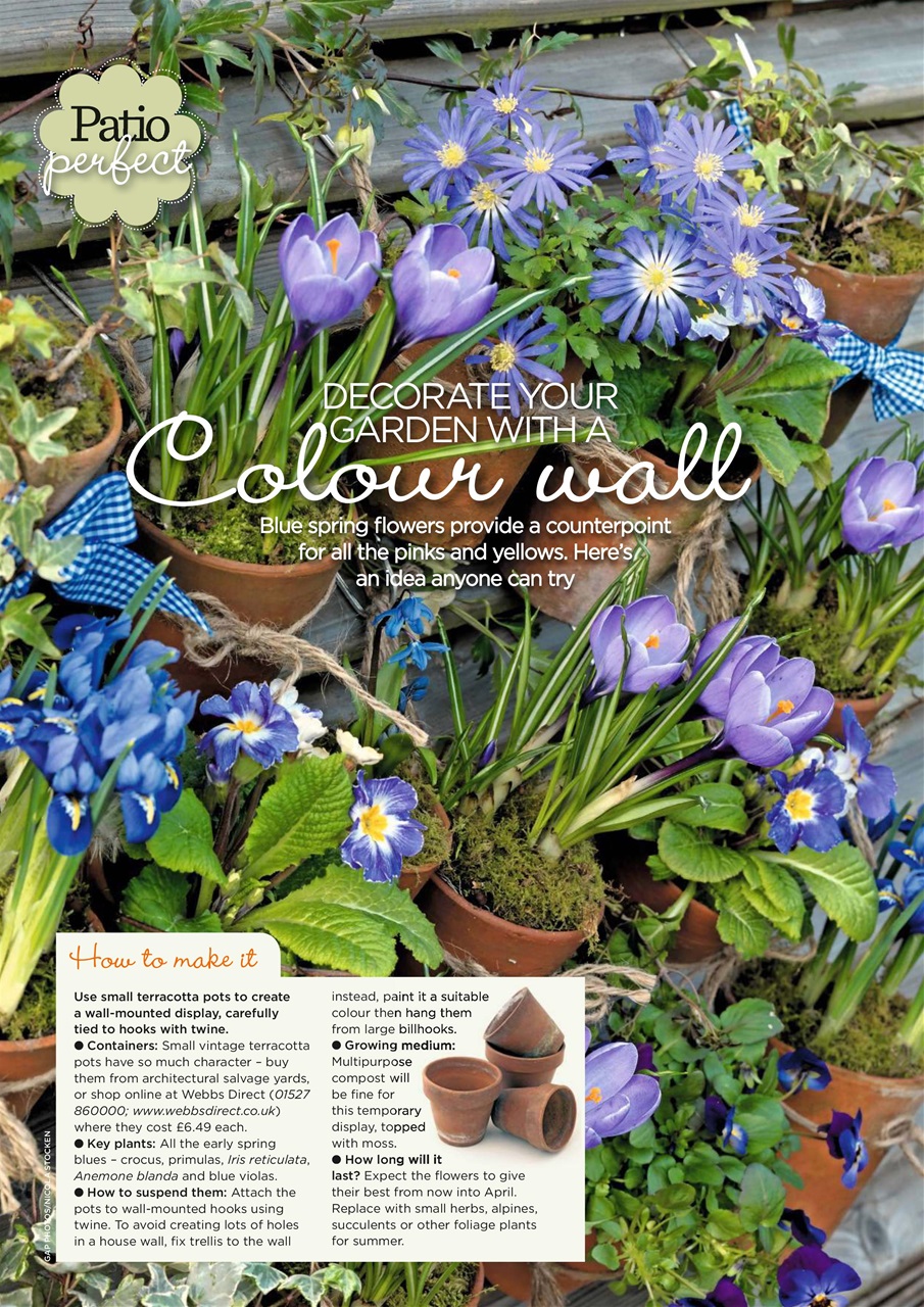 Garden Answers Preview Pages