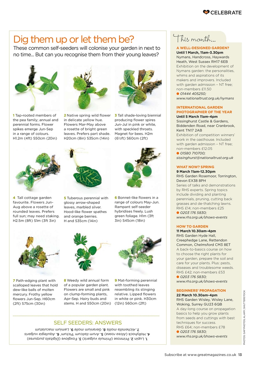Garden Answers Preview Pages