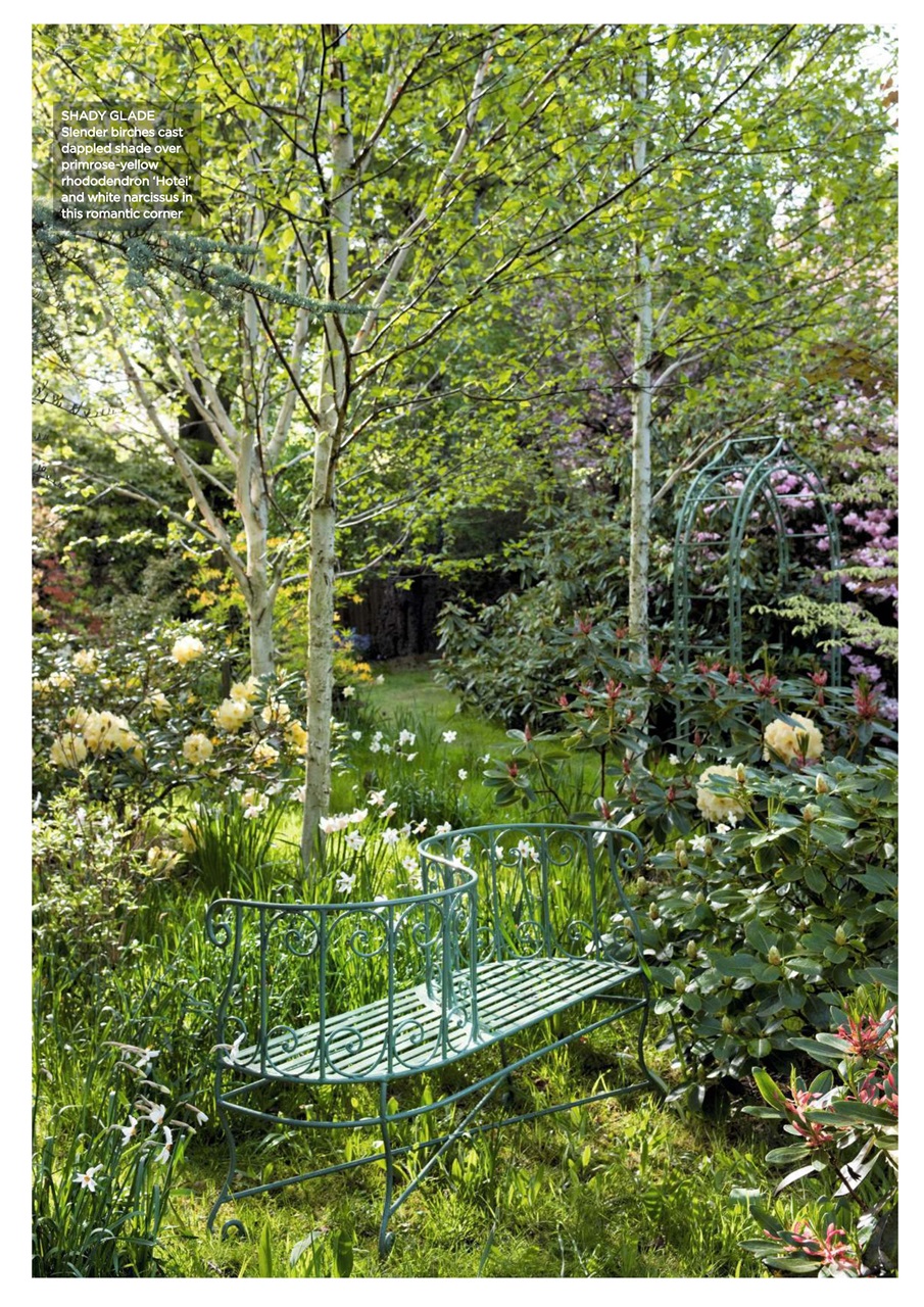 Garden Answers Preview Pages