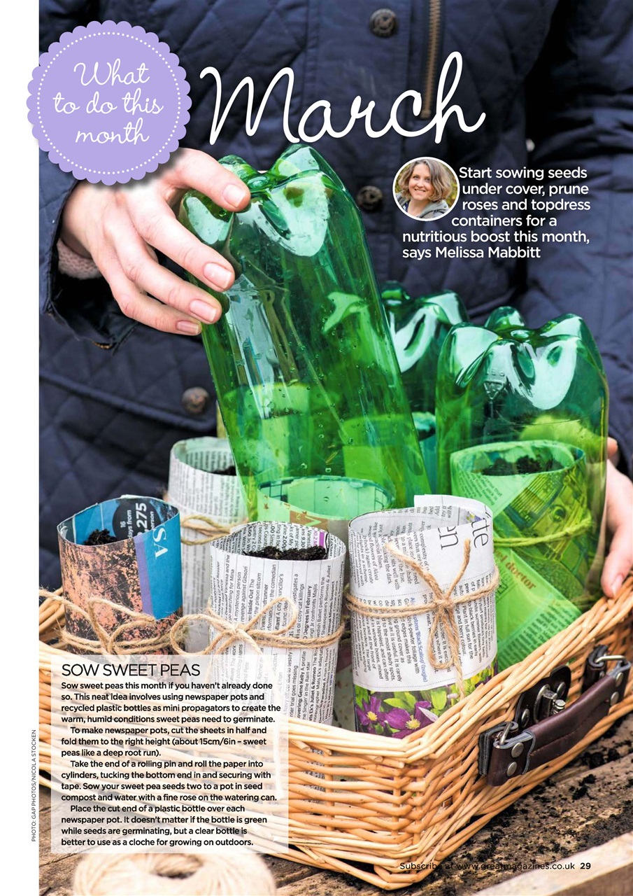 Garden Answers Preview Pages