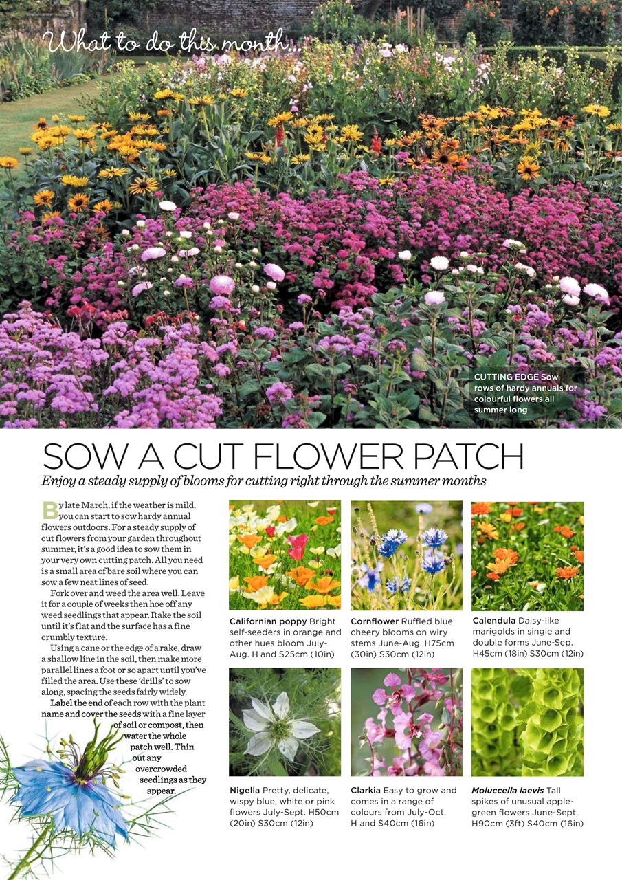 Garden Answers Preview Pages