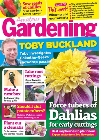 Amateur Gardening issue 28th January 2017