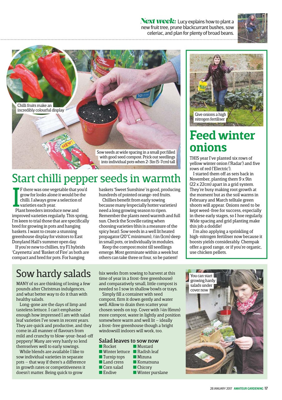 Amateur Gardening Preview Pages