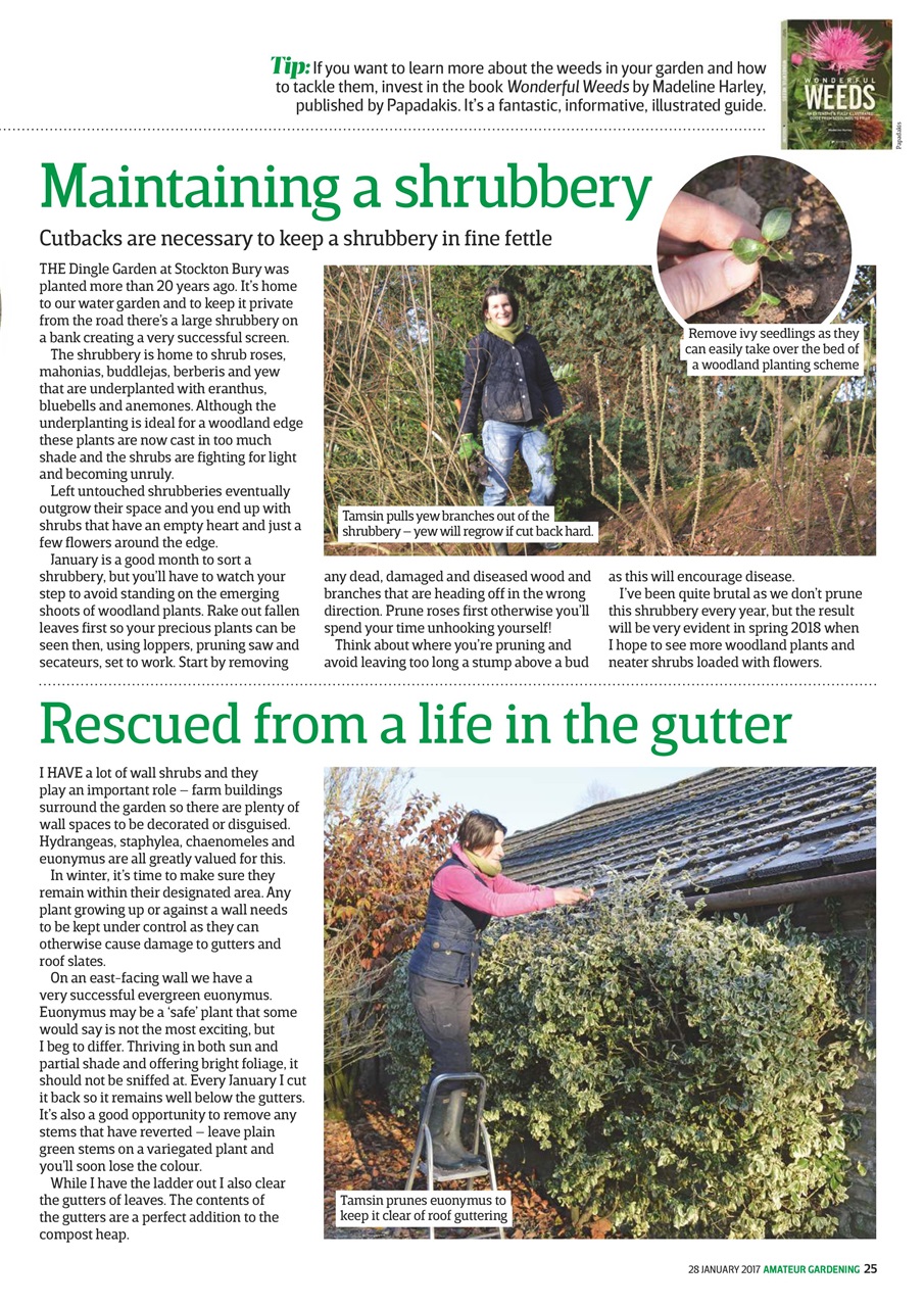 Amateur Gardening Preview Pages