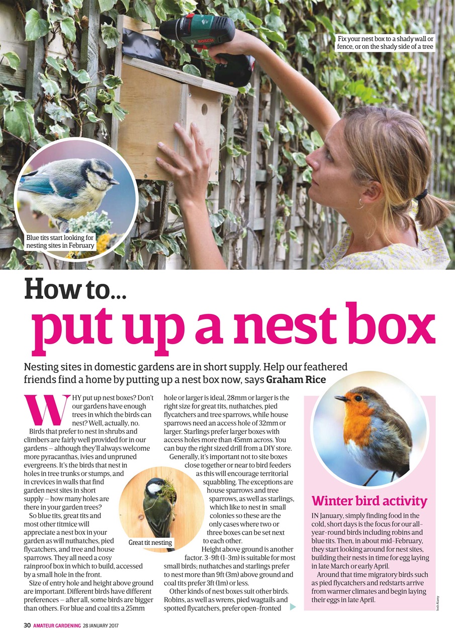 Amateur Gardening Preview Pages