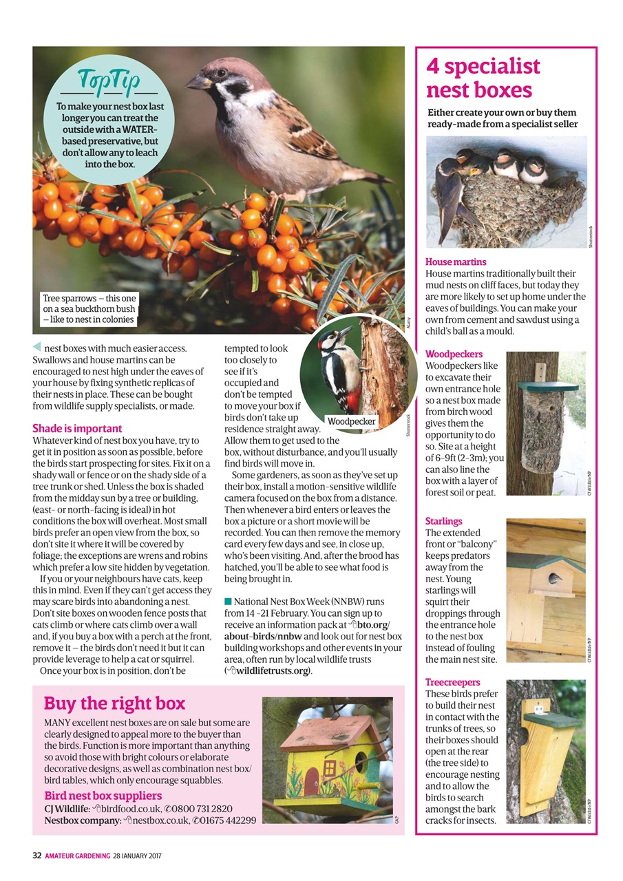 Amateur Gardening Preview Pages