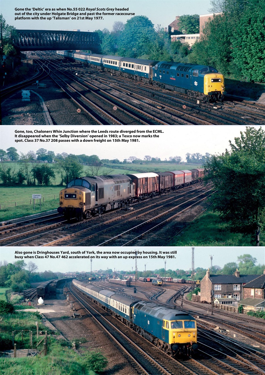 Backtrack Preview Pages