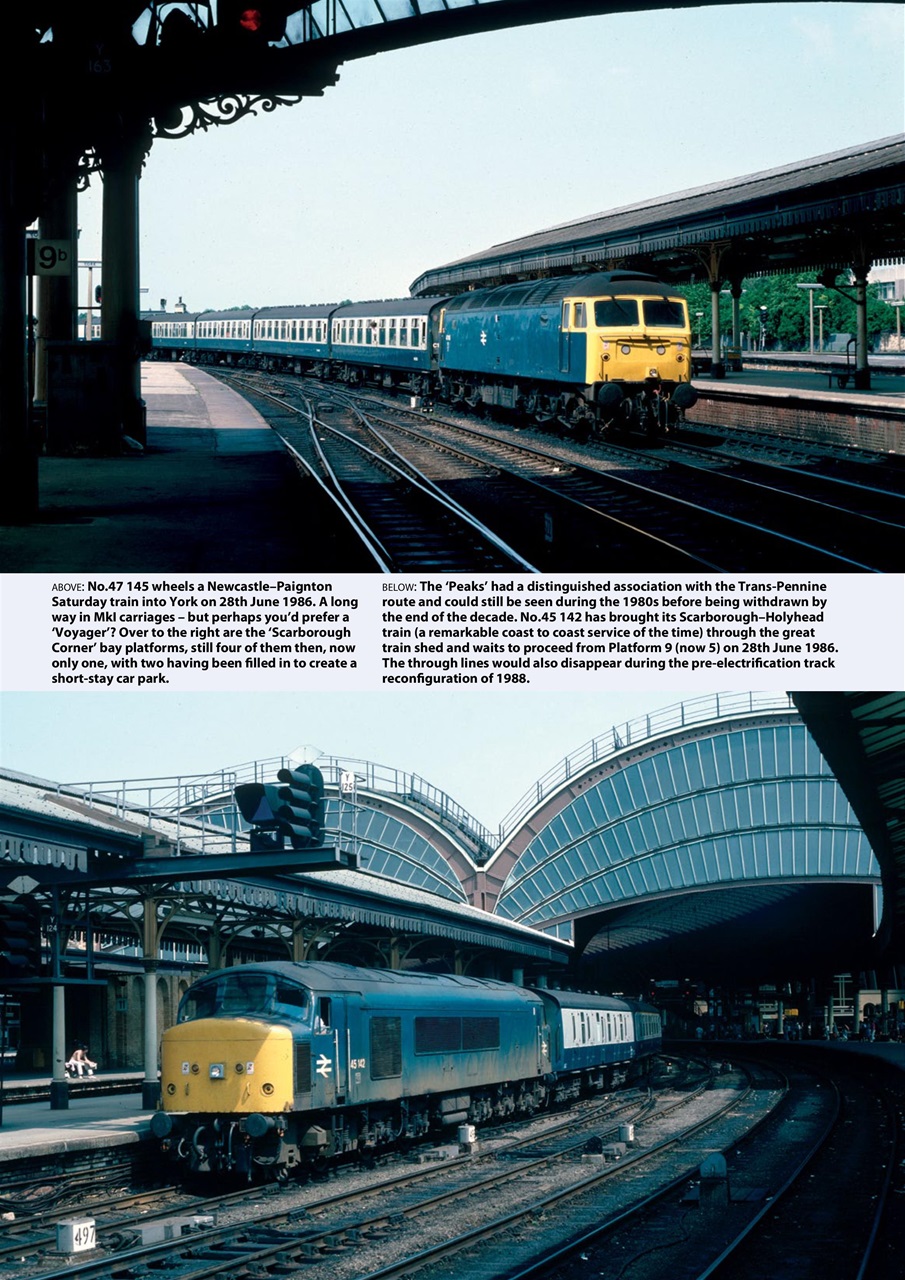 Backtrack Preview Pages