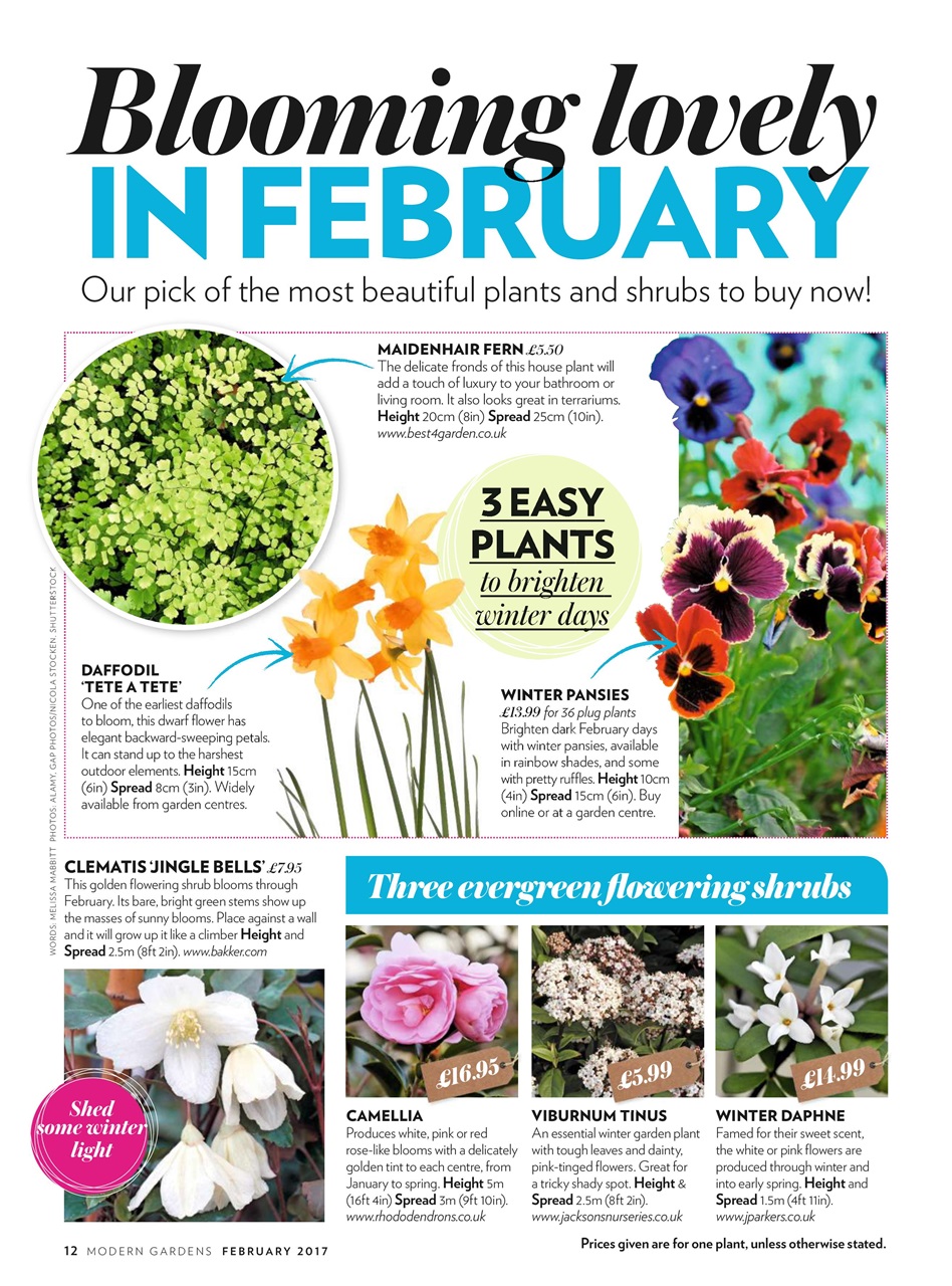 Modern Gardens Preview Pages