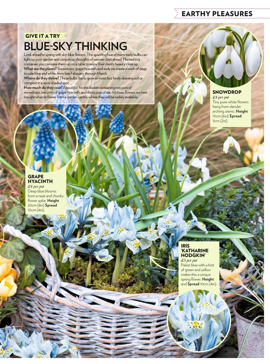 Modern Gardens Preview Pages