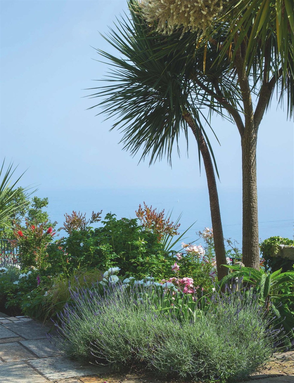 Country Life Preview Pages