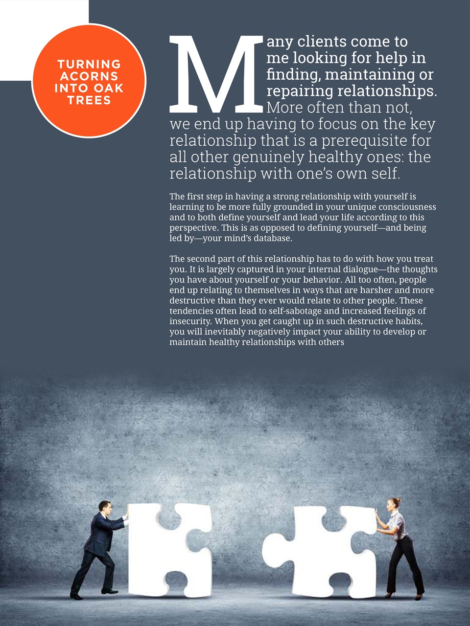 The Coaching Connector Preview Pages