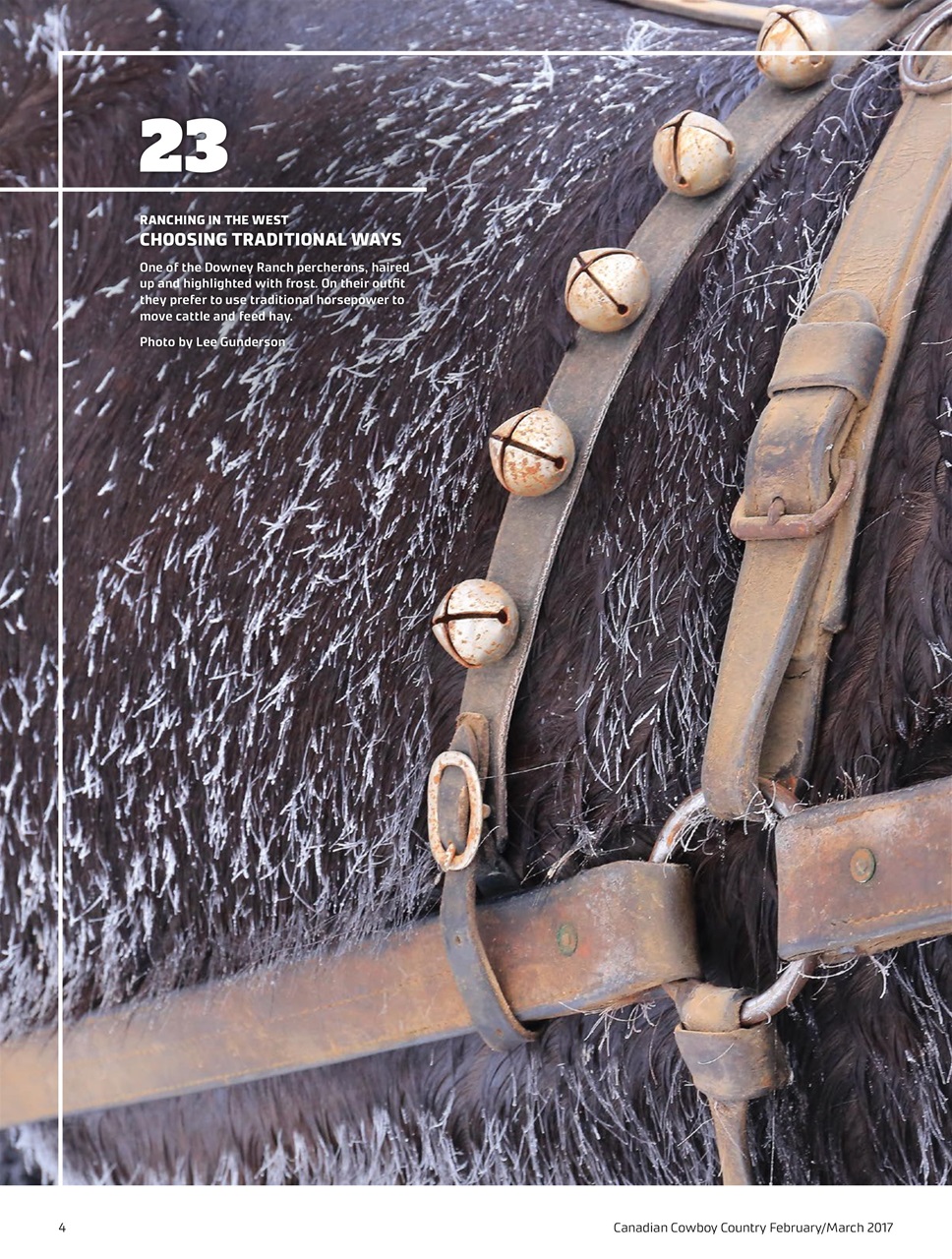 Canadian Cowboy Country Preview Pages