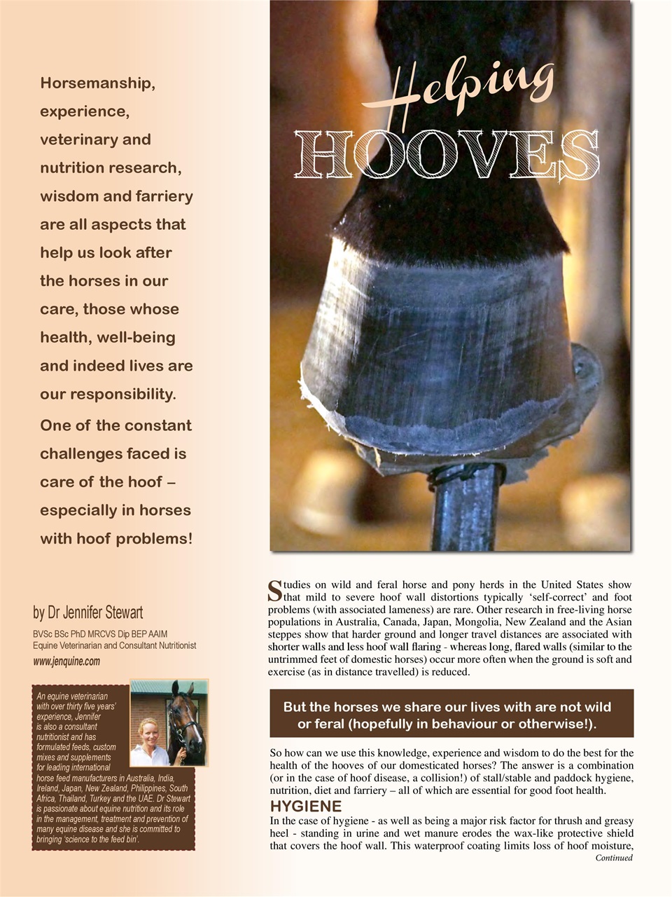 Hoofbeats Preview Pages