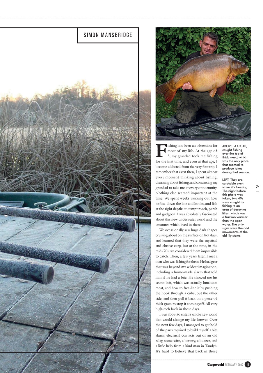 Carpworld Preview Pages