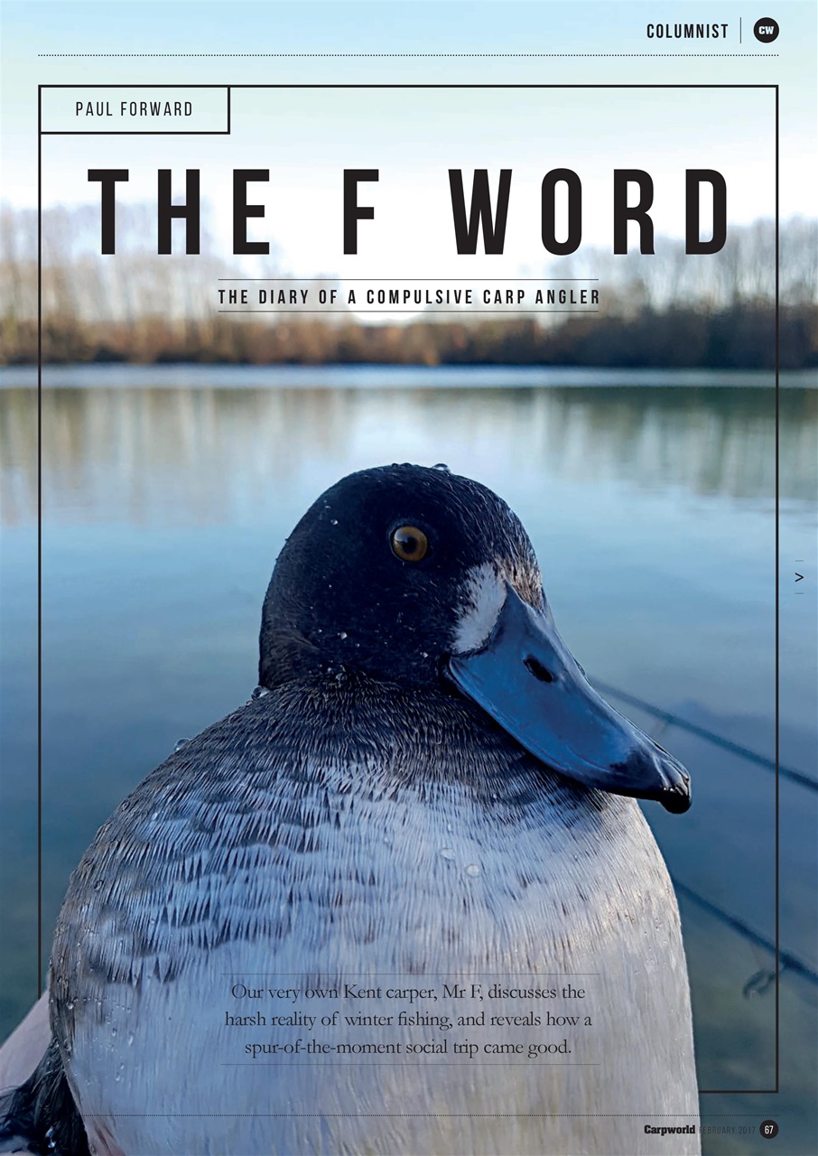 Carpworld Preview Pages