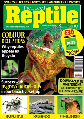 Practical Reptile Keeping issue February 2017