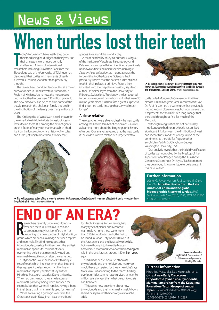 Practical Reptile Keeping Preview Pages