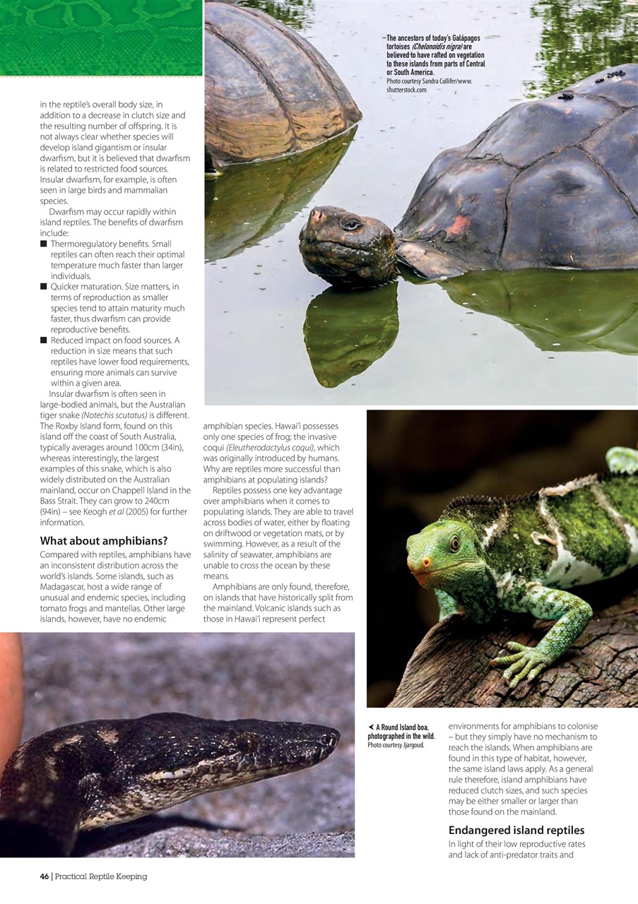 Practical Reptile Keeping Preview Pages