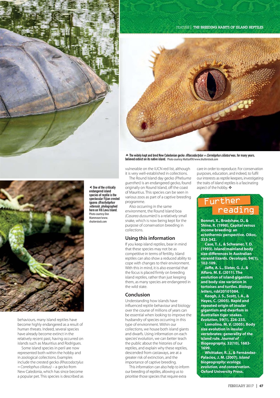 Practical Reptile Keeping Preview Pages