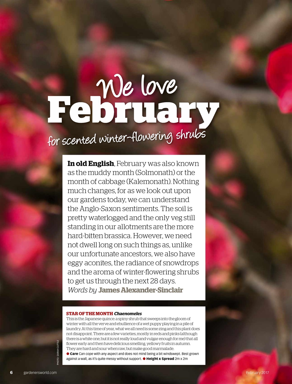 BBC Gardeners’ World Magazine Preview Pages