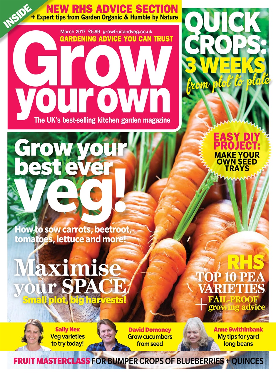 Grow Your Own Preview Pages