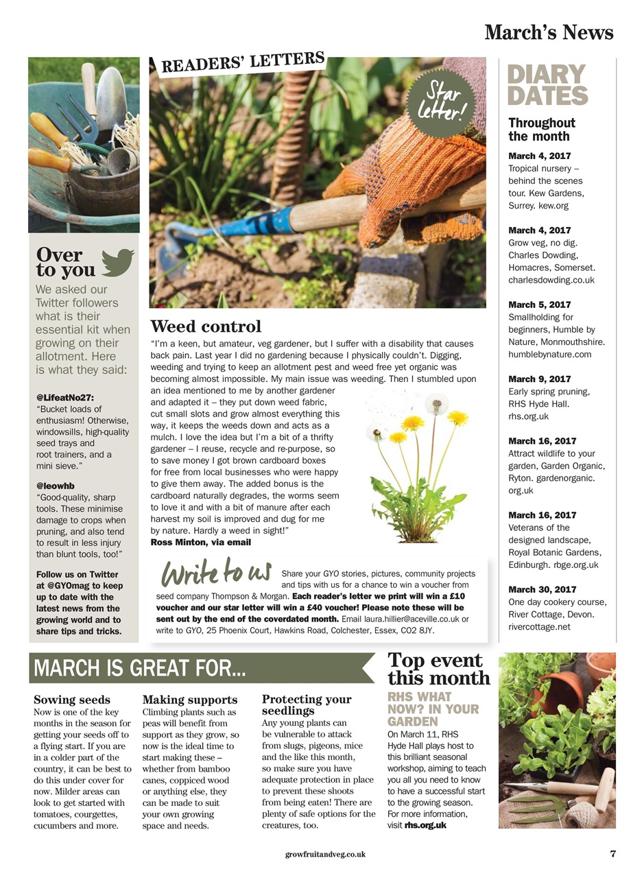 Grow Your Own Preview Pages